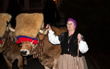 Cabalgata de Reyes, OVIEDO 2015